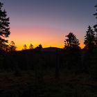 Brocken vom Sonnenberger Flutgraben (1)