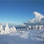 Brocken-Winter