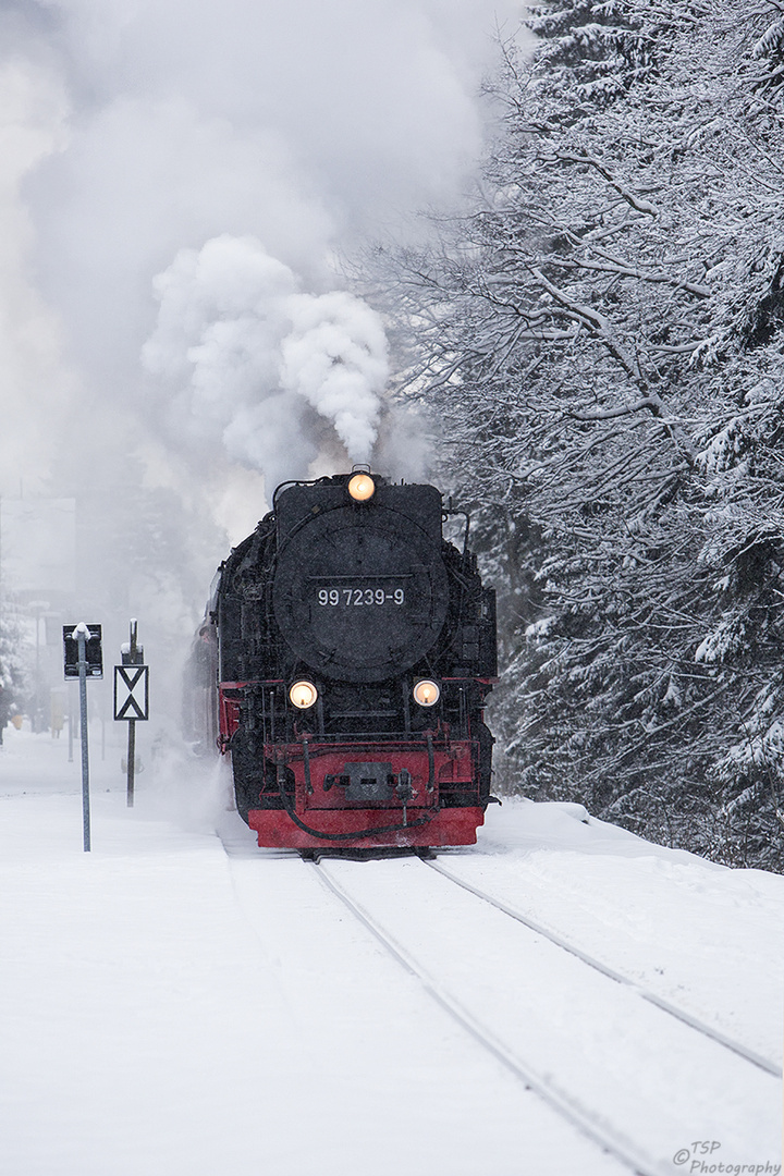 Brockenbahn 2