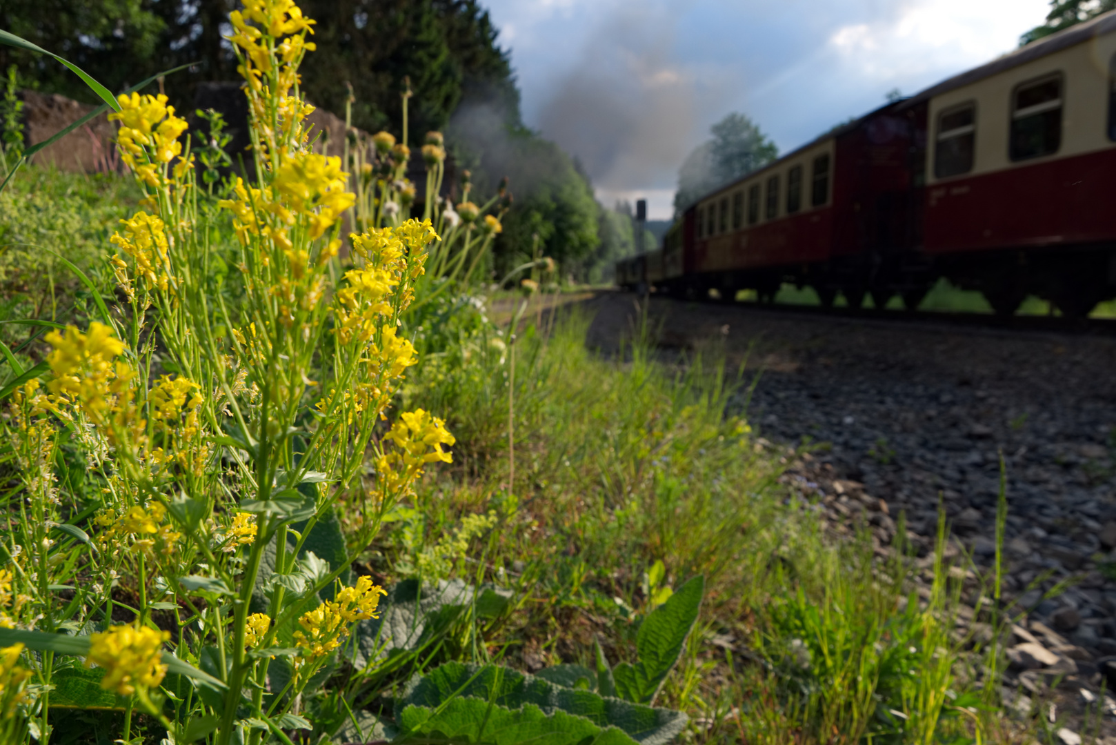 Brockenbahn