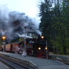 Brockenbahn am Bahnhof "Drei Annen"