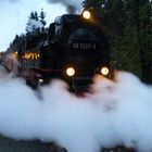 Brockenbahn am Bahnhof "Drei Annen" IV