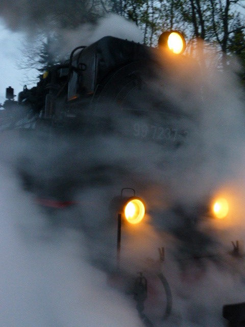 Brockenbahn am Bahnhof "Drei Annen" V