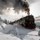 Brockenbahn am ehem. Goethebahnhof 3