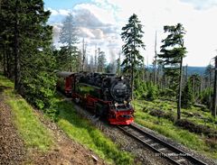 Brockenbahn, auf der Fahrt zum Brocken