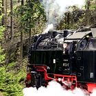 Brockenbahn auf Fahrt 1