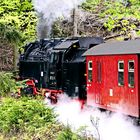 Brockenbahn auf Fahrt 2