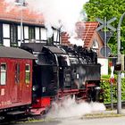 Brockenbahn auf Fahrt 3