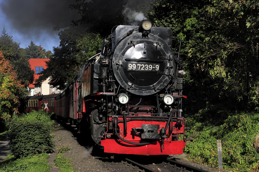 Brockenbahn bespannt mit 99 7239 in Wernigerode