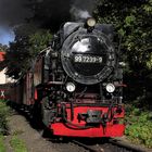 Brockenbahn bespannt mit 99 7239 in Wernigerode