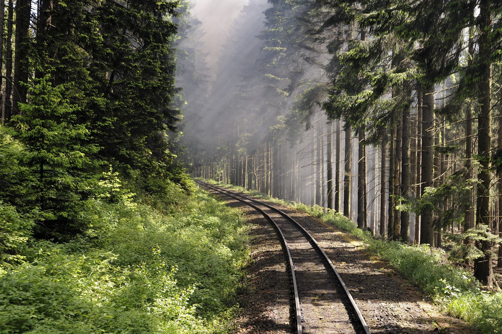 Brockenbahn -- Dampf und Nebel