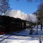 Brockenbahn Einfahrt 