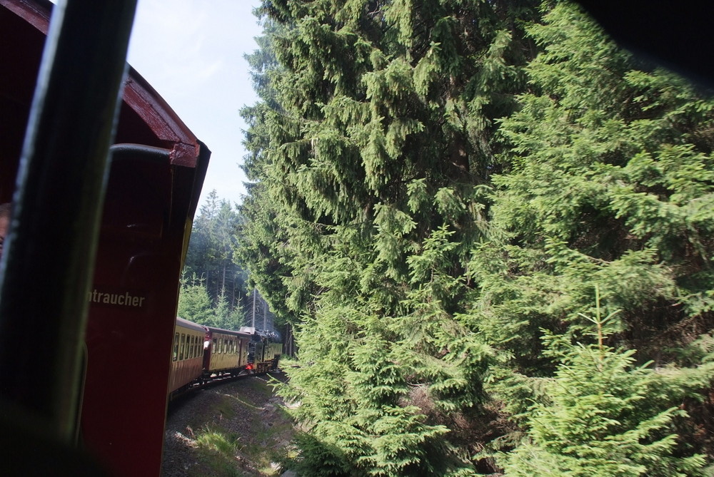 Brockenbahn "Fahrt durch den Wald"