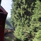 Brockenbahn "Fahrt durch den Wald"