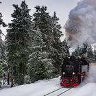 Brockenbahn - Harz (Germany)