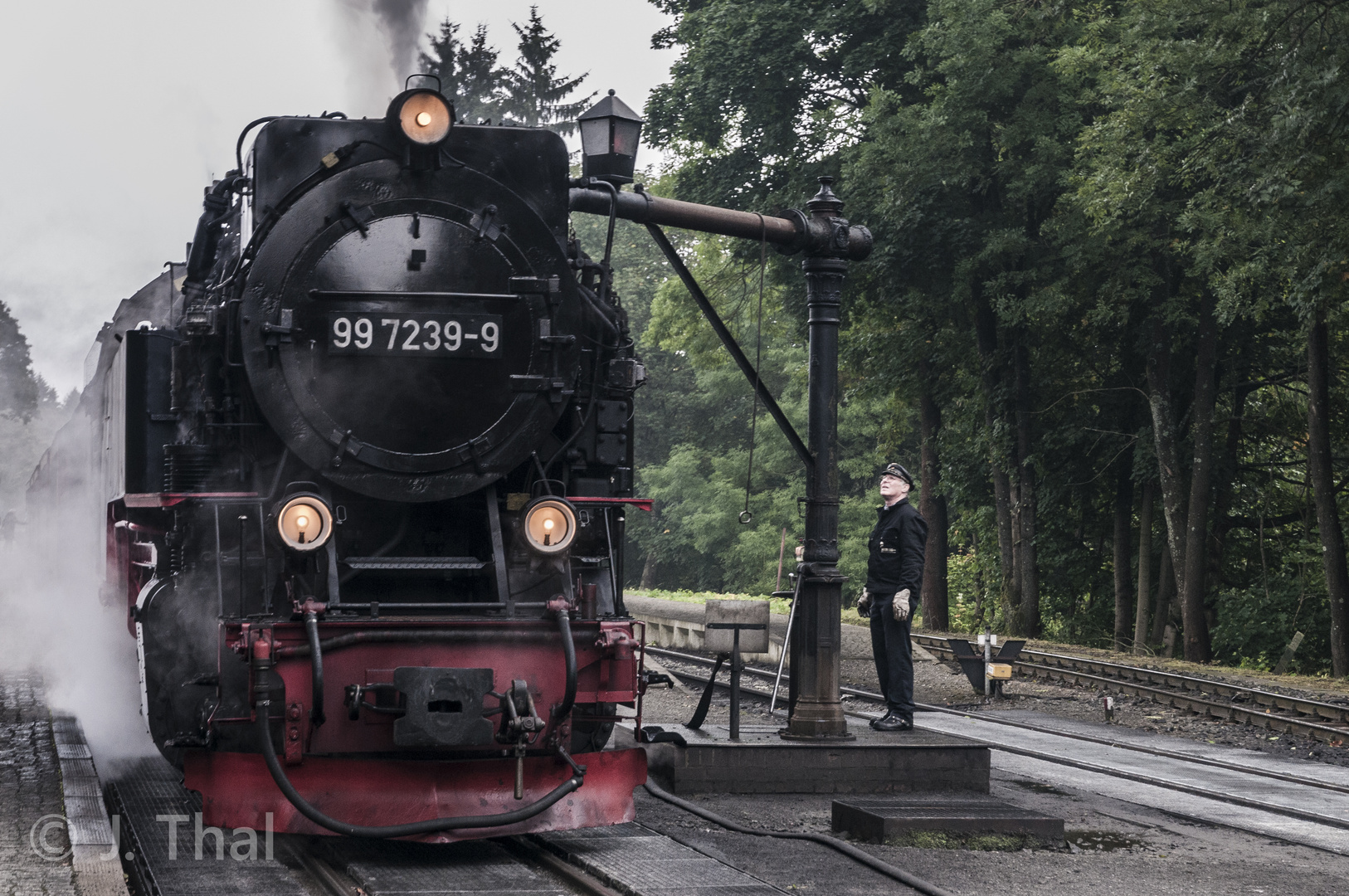 Brockenbahn im Bahnhof Drei Annen Hohne