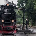 Brockenbahn im Bahnhof Drei Annen Hohne