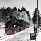 Brockenbahn im Bahnhof Schierke