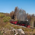 Brockenbahn im Herbst