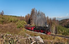 Brockenbahn im Herbst