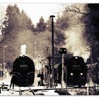 Brockenbahn in Drei Annen Hohne