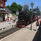 Brockenbahn in Drei-Annen-Hohne