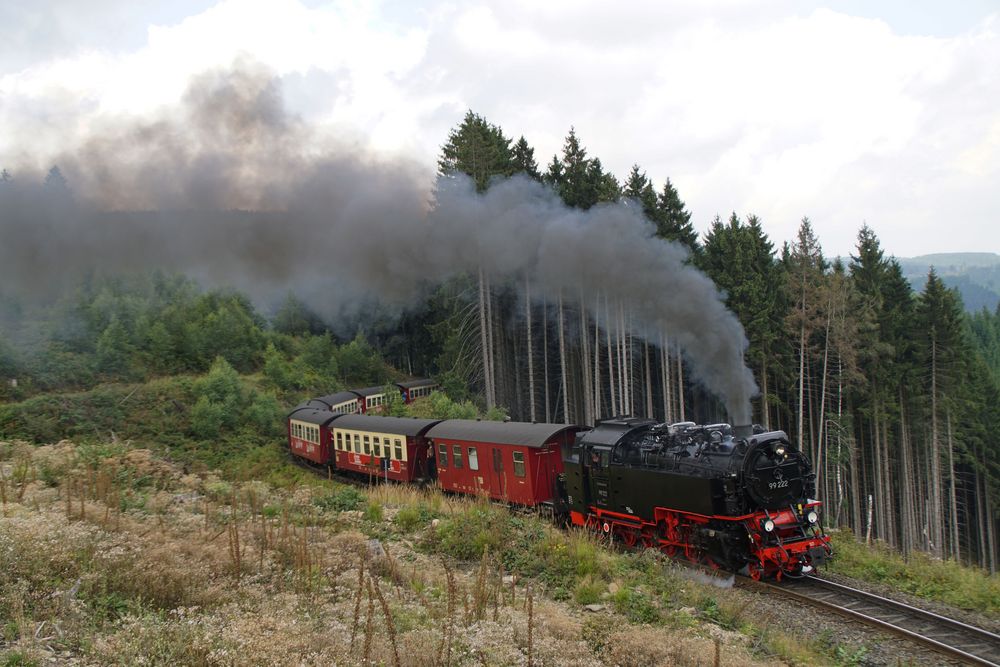 Brockenbahn in Richtung "Drei Annen Hohe"