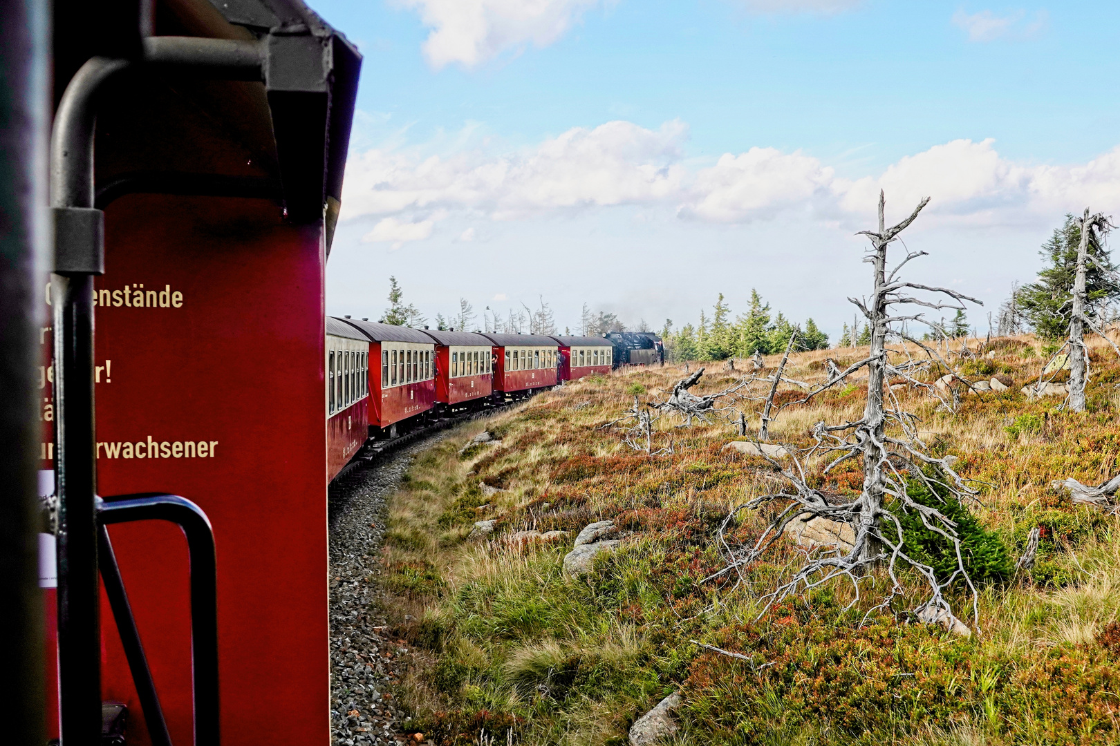 Brockenbahn quer durch den Wald