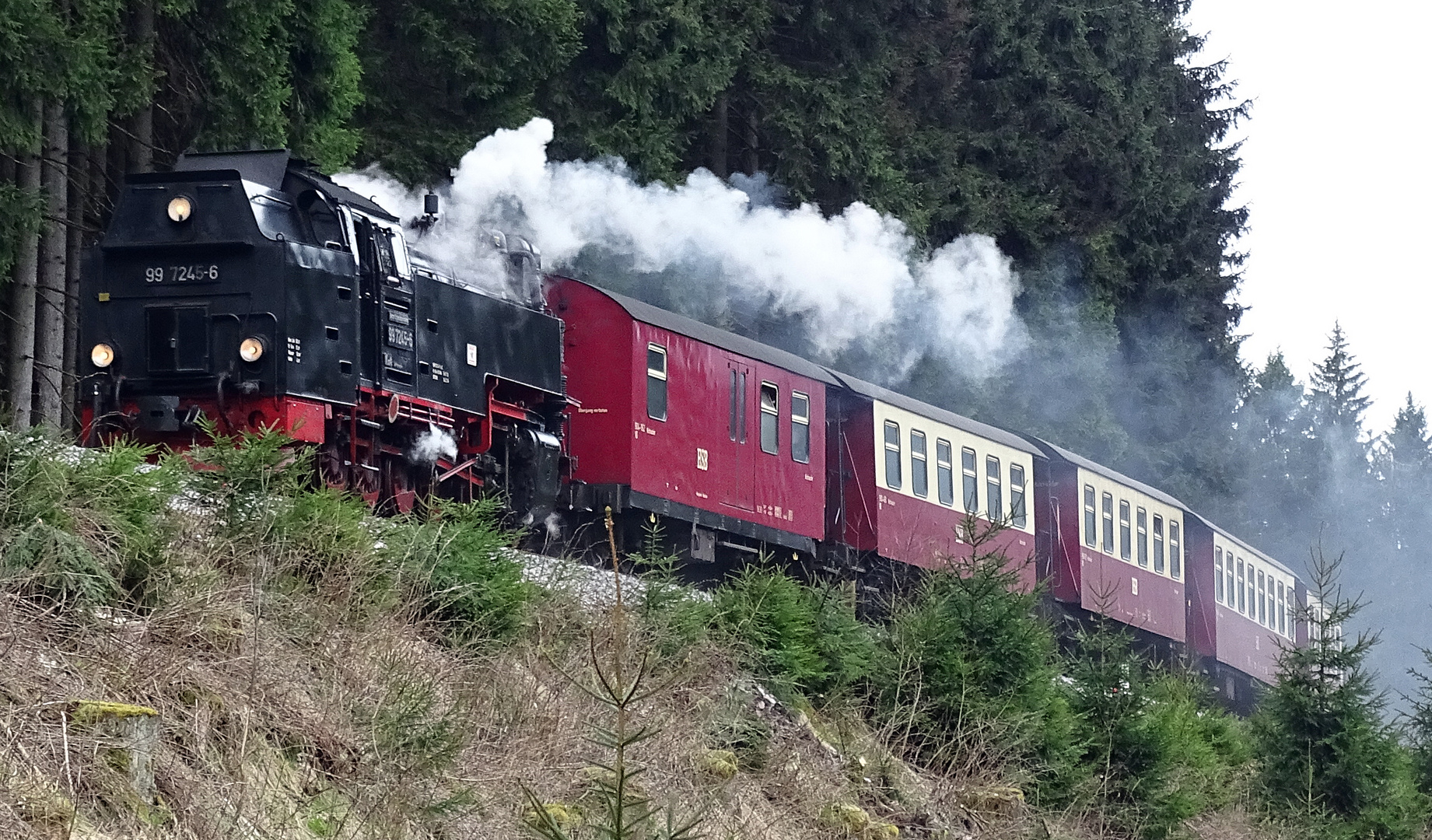 Brockenbahn/Harz