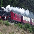 Brockenbahn/Harz