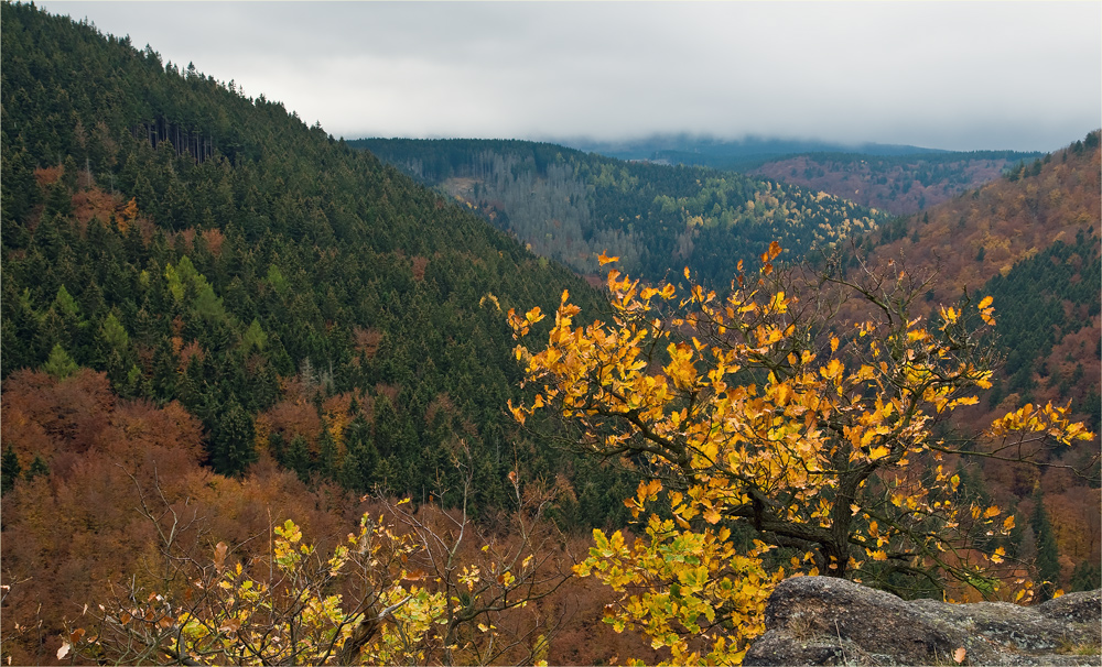 Brockenblick, ...