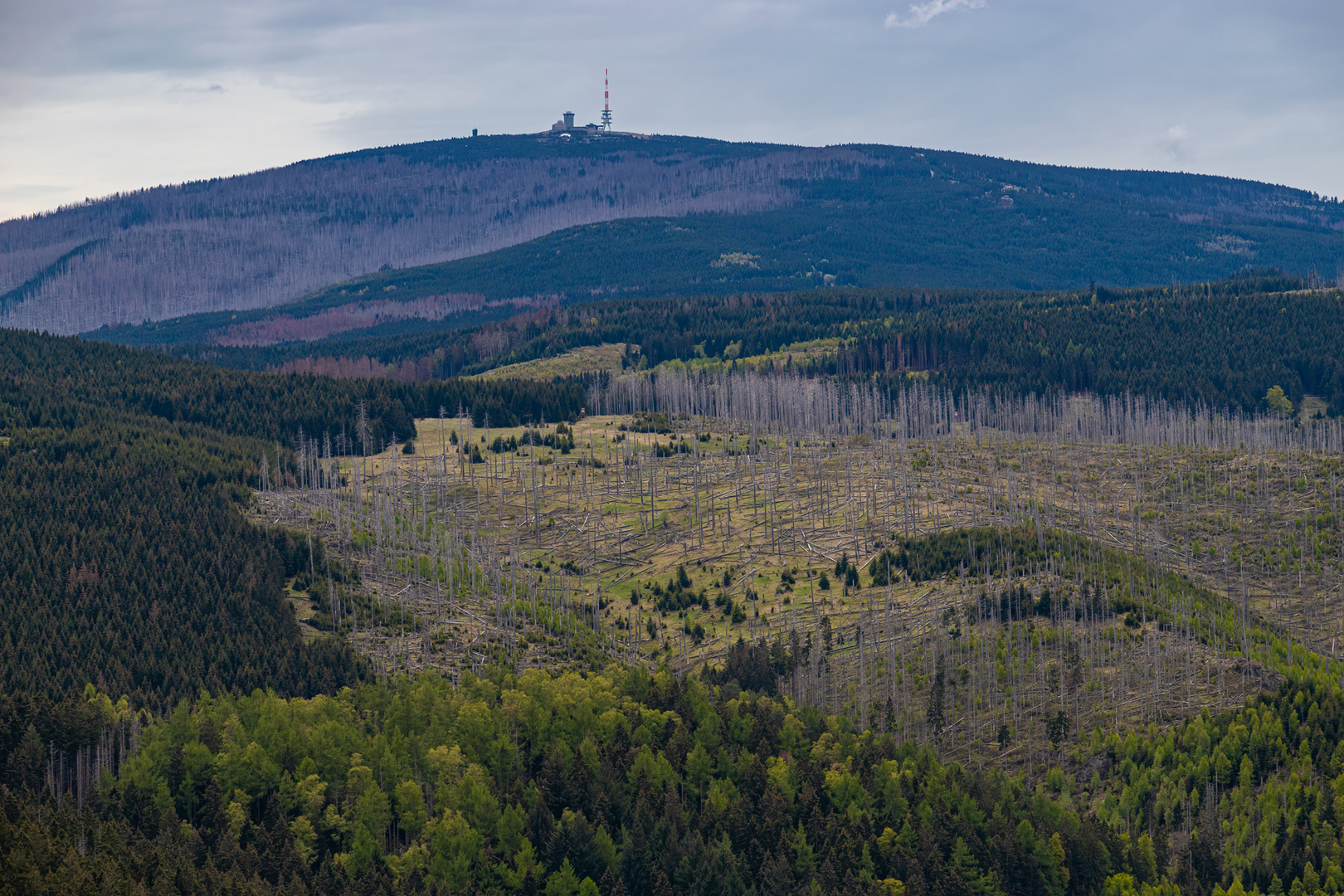 Brockenblick Foto & Bild | world, wald, natur Bilder auf fotocommunity