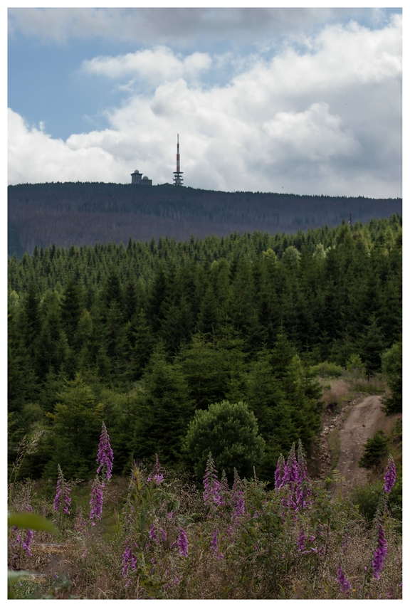 Brockenblick