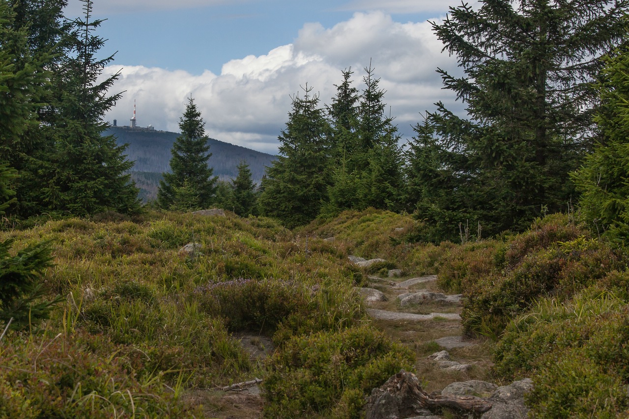 Brockenblick