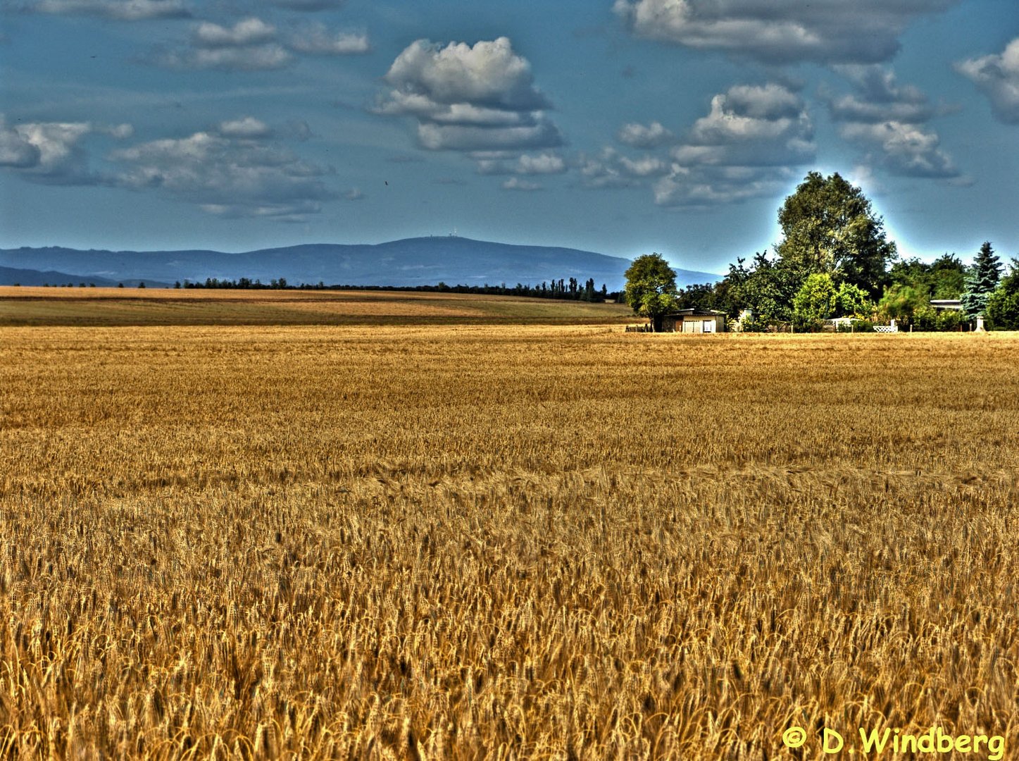 Brockenblick