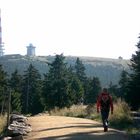 Brockenblick vom Goetheweg