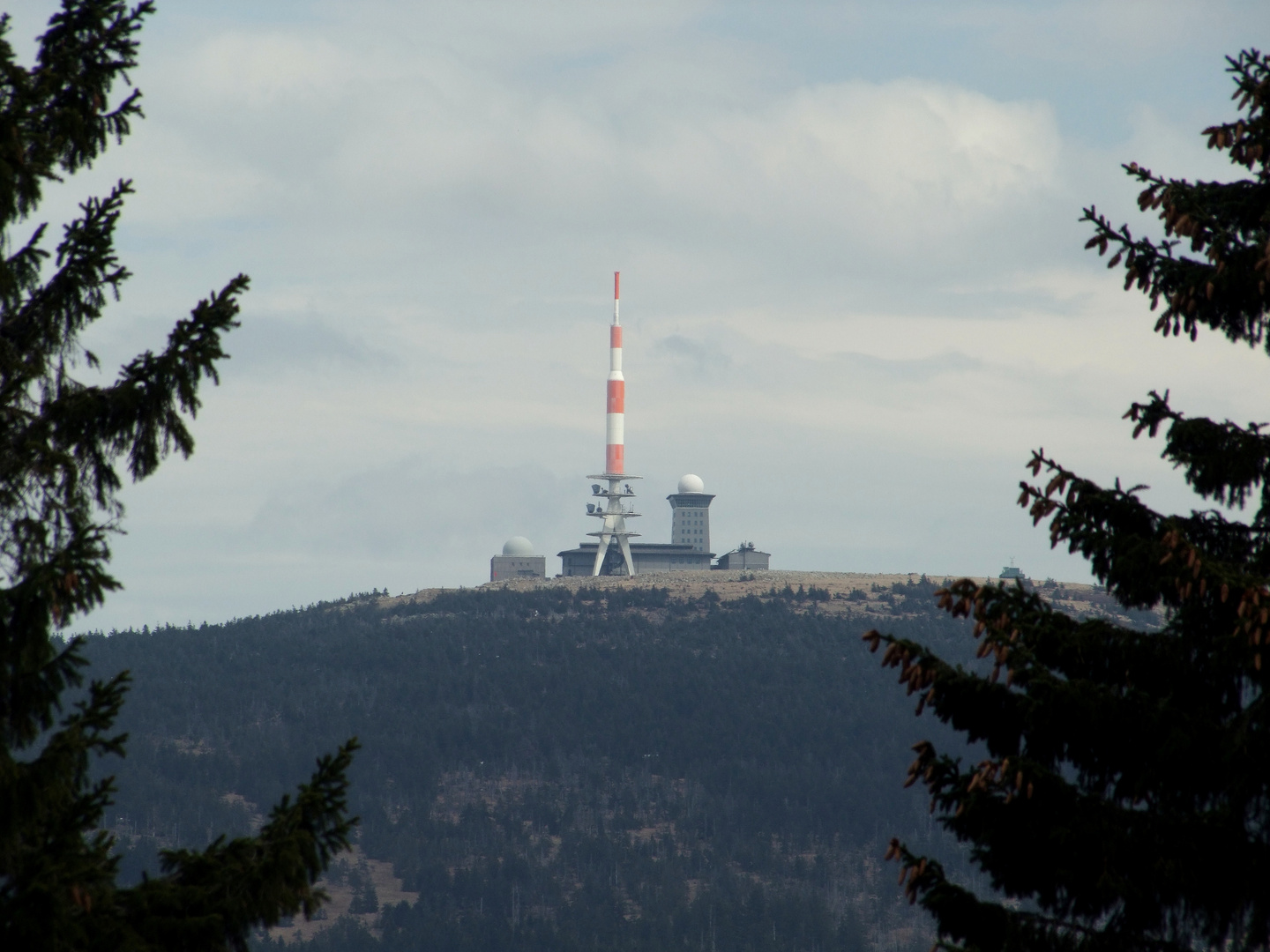 Brockenblick vom Torfhaus