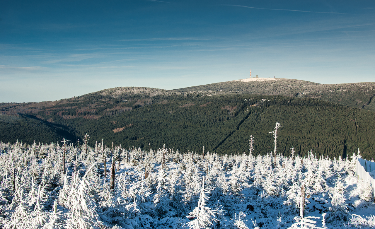 Brockenblick vom Wurmberg aus