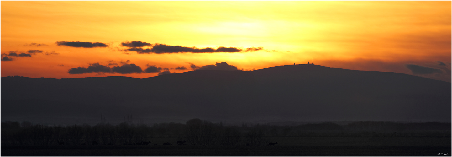 Brockenblick von heute