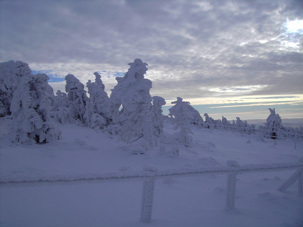 Brockenhexen