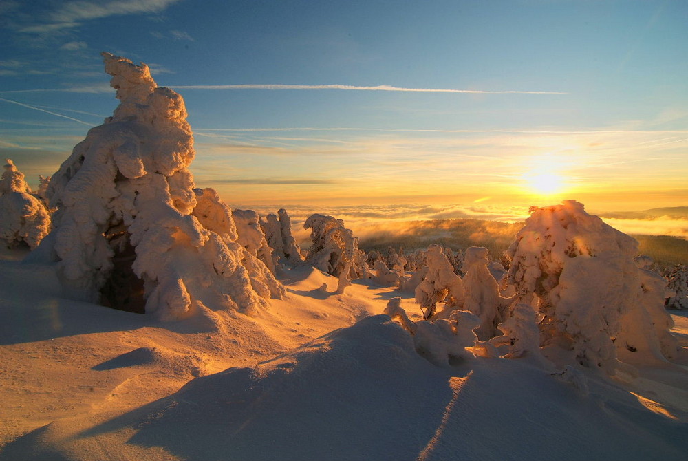 Brockenhexen, im Frost erstarrt