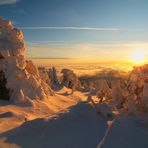 Brockenhexen, im Frost erstarrt