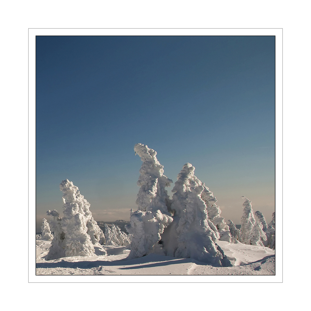 Brockenl / Harz " so schön und Wild ist unser Harzer Land............."