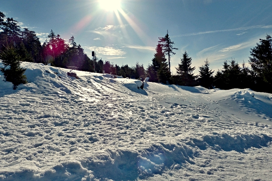 Brockenwanderung (3)