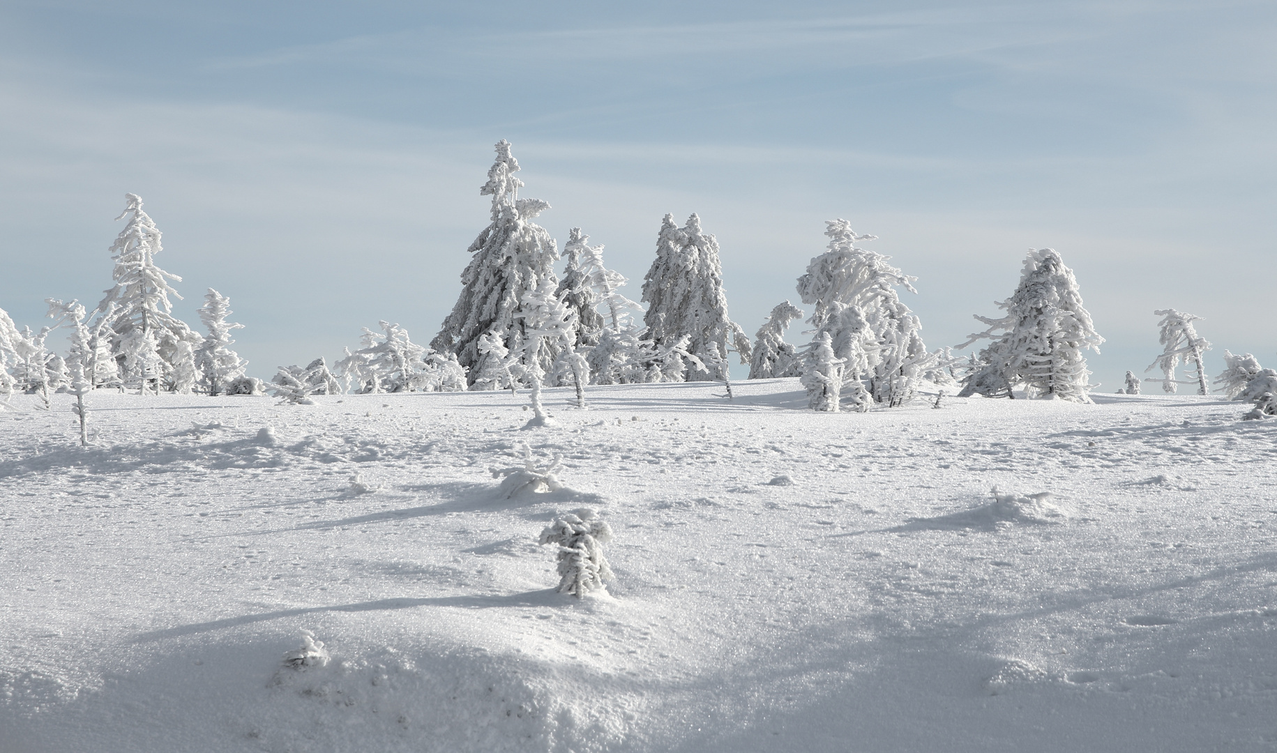Brockenwanderung Foto & Bild | deutschland, europe, sachsen- anhalt