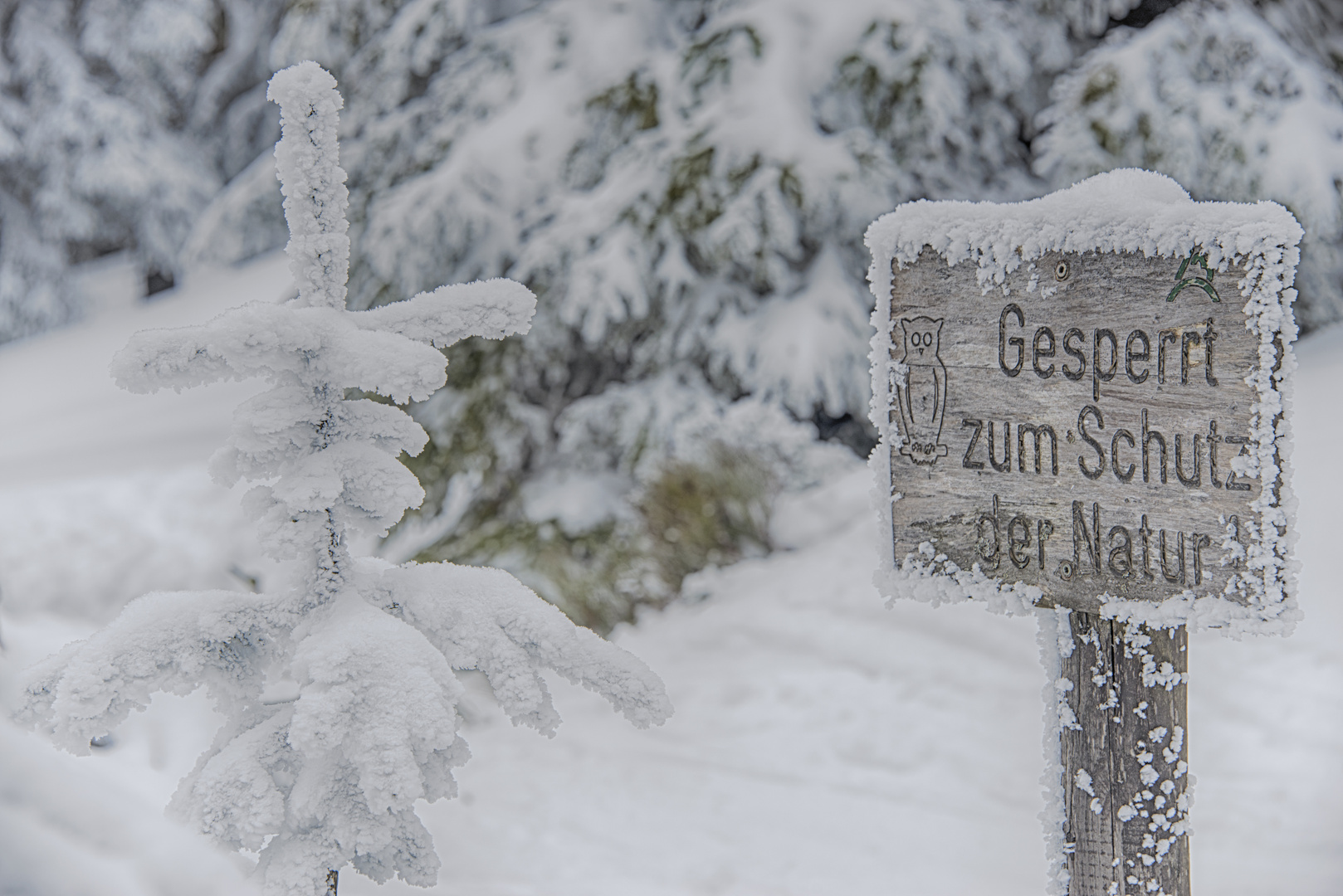 Brockenwanderung