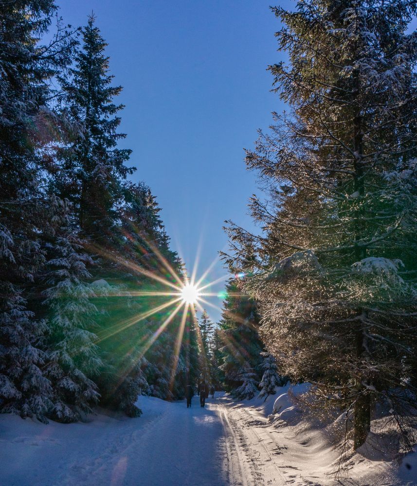 Brockenwanderung III - Harz