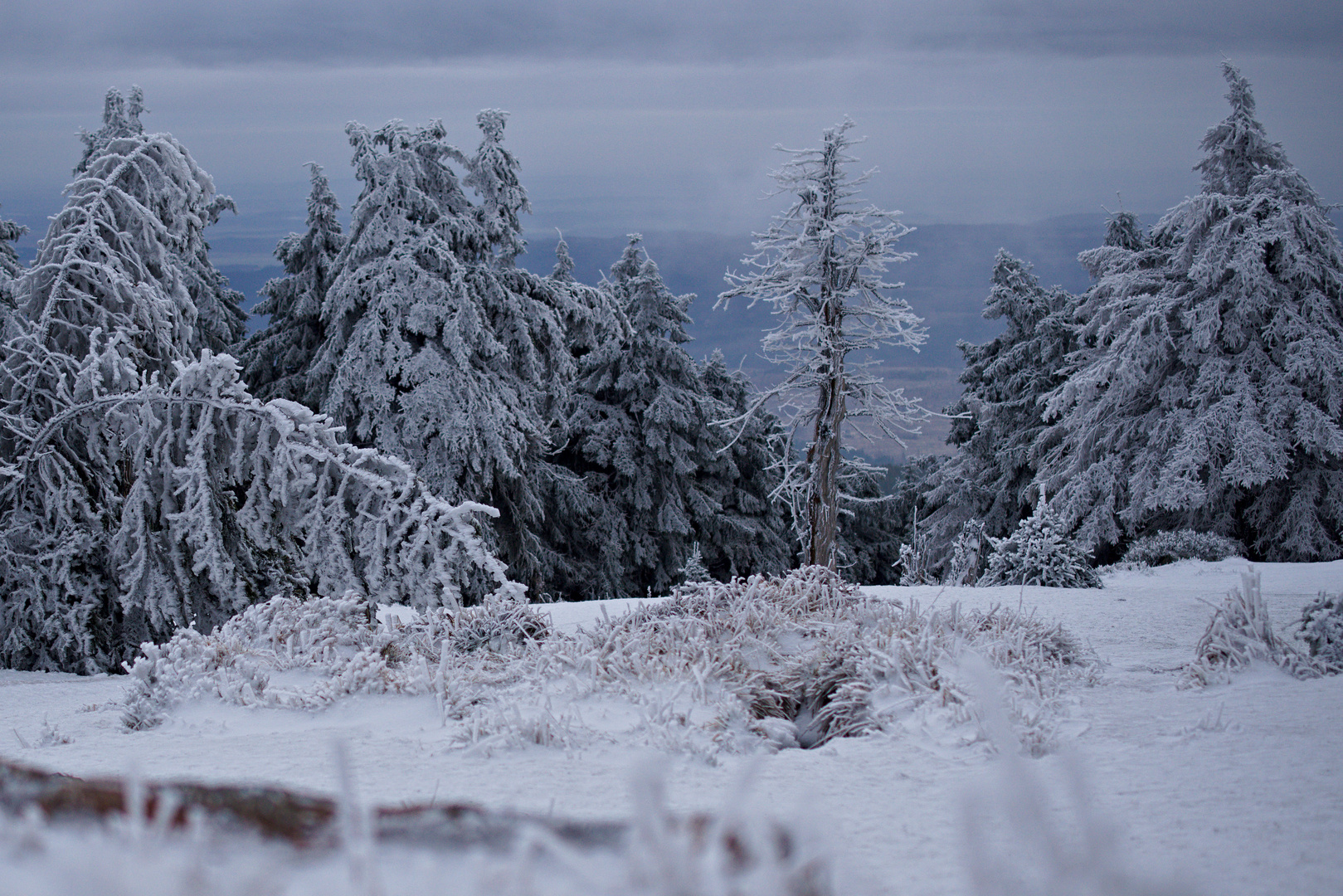 Brockenwanderung in Eiseskälte