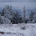 Brockenwanderung in Eiseskälte