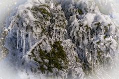 Brockenwanderung IV - Harz